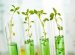 Sciences universities in UK